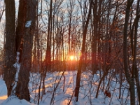 72157CrLe - Sunrise along the Westridge Trails.jpg